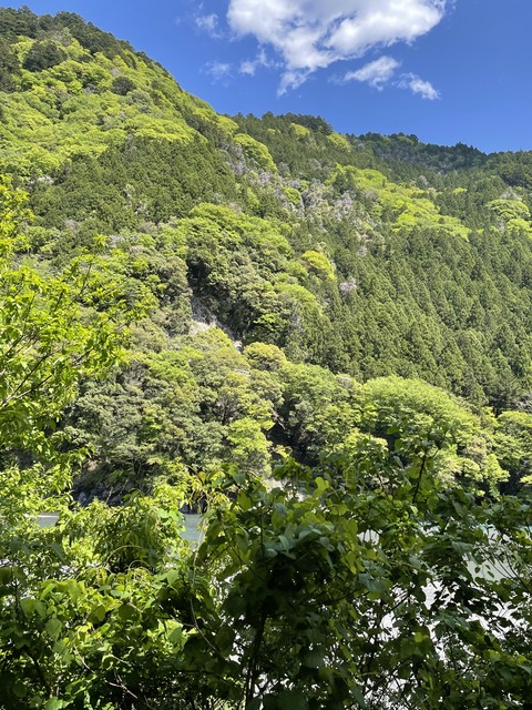 E02F202B-A684-4EC7-86F5-257AAE15D29B