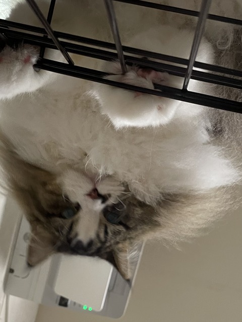 EC8953F4-9E6A-46A4-9062-FA97258C1B81