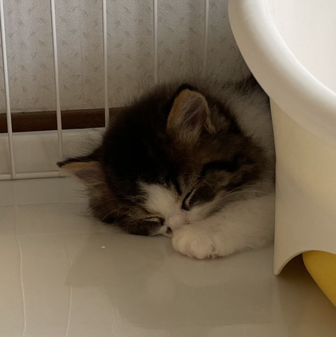 FC38B973-9F51-44D8-8B51-F70E8805C7F1