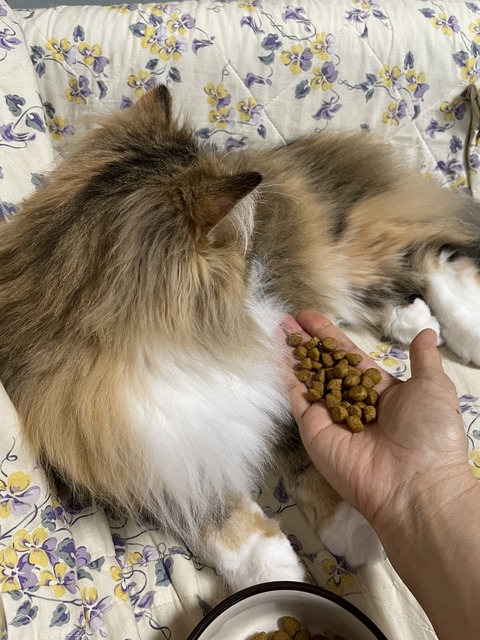 009523FE-1C9B-4535-8A90-1821990DF996