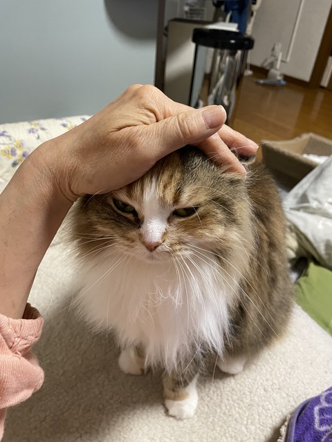 A5DBD22D-F386-4F2A-A5DE-DDB648D317E7