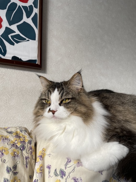 C6BC7C73-C06B-42F3-8BC2-D33322C08BE1