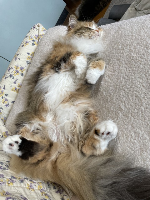 5855E492-A5B4-46E2-88D3-64C3E8BAE12E