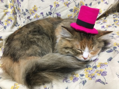 036A1183-3636-4502-B59A-C664FE099450