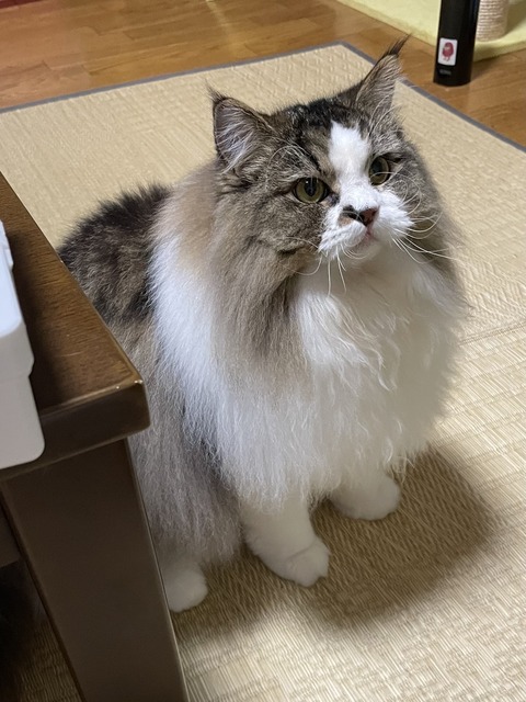 E2973F17-C39C-4D62-927D-AB187495139F