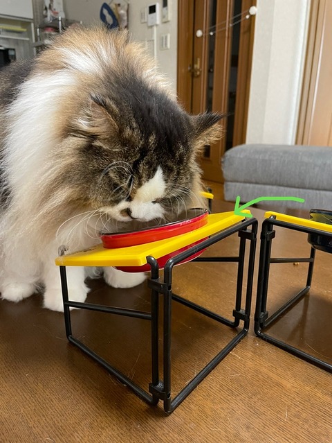 FDEB9965-2421-48EE-8F61-DEDCDFBED811