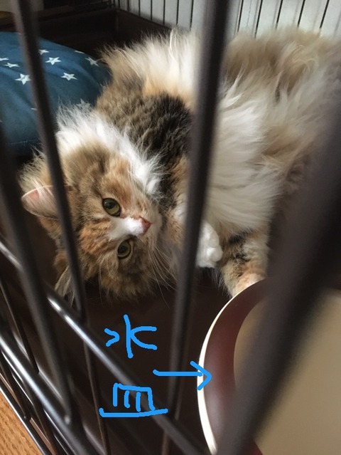 86D150D3-871B-493C-927D-A1090EB6D36A