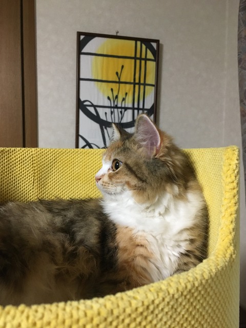 8421AB86-947B-4D0D-9B1B-3722A068C0FA