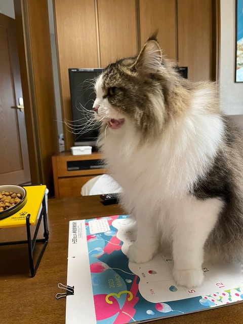 F263DF2E-22D3-492D-9CCE-F9027A77F042