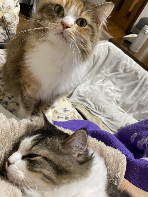 0B329F1B-1342-4184-8603-52D372743606