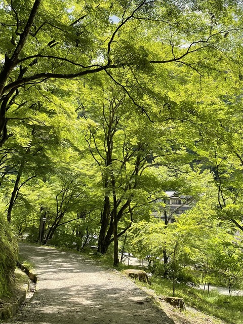 A8528425-6C2B-4675-9CD4-4902F37372CD