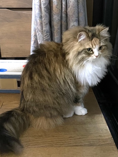 82420678-41AC-4CDE-8DA3-1E0C6E9CC0E4