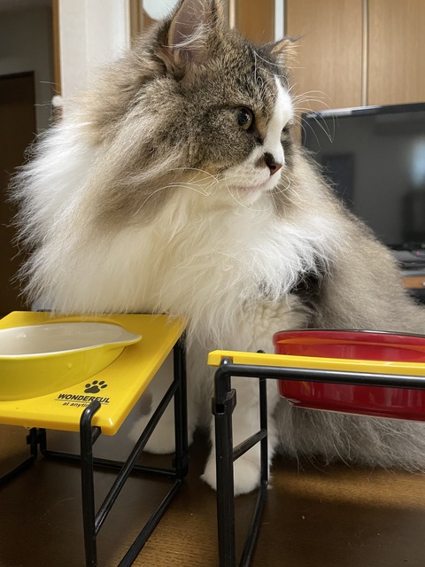 B3E22CE2-644D-422A-ACDD-B36B7B60B756