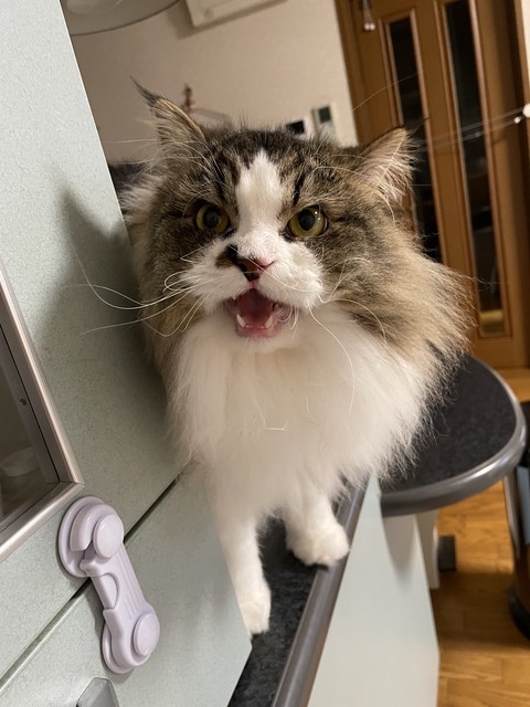 AD94F6EB-1DCC-485B-82EF-FCB9612E9DF5