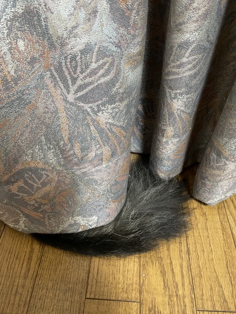 9D5389E5-D06A-4A14-889F-B8E9D21DDDAA