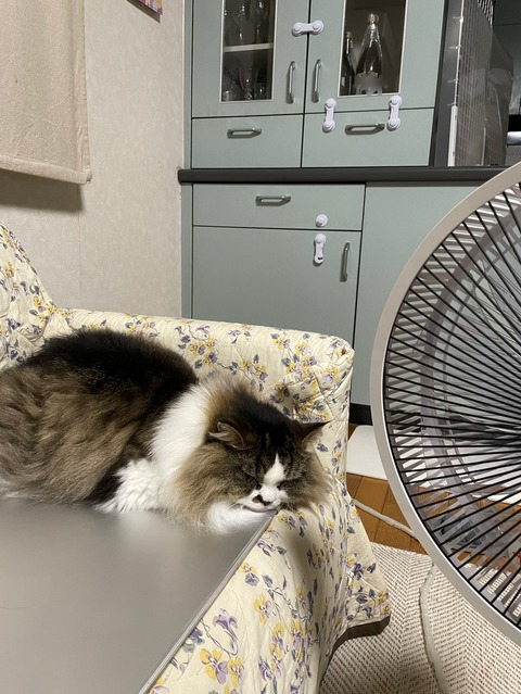 23F097DD-FB8C-4545-A6BF-C3F4F508F0C0