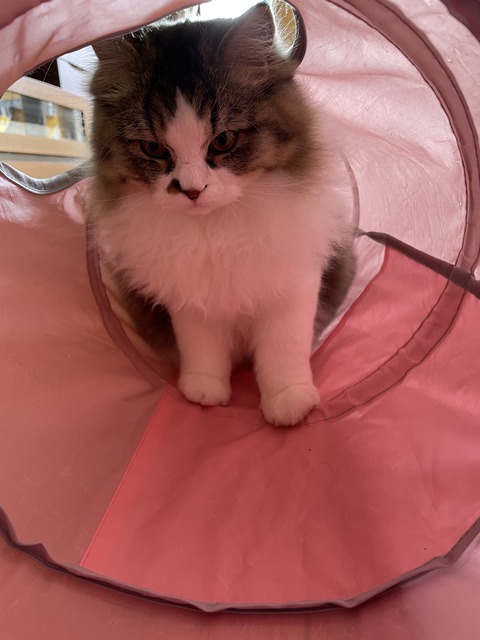 3BB37CC3-A830-4BB4-B984-A9EACE0F5C30