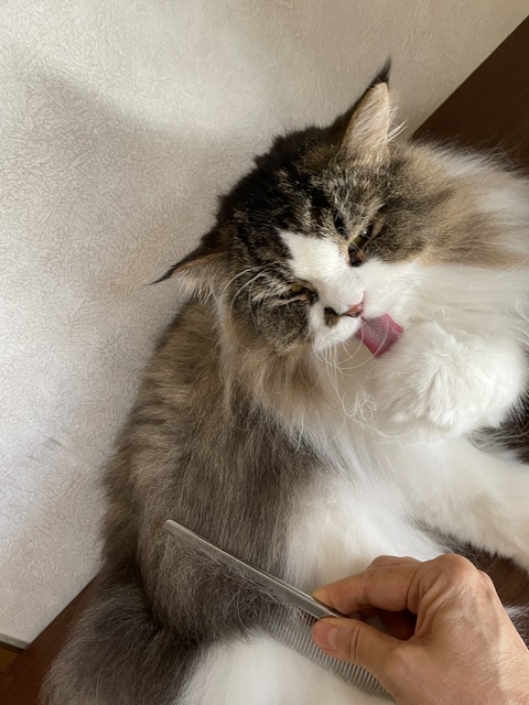 6D161D21-AC58-492A-9B50-C2789ED1E587