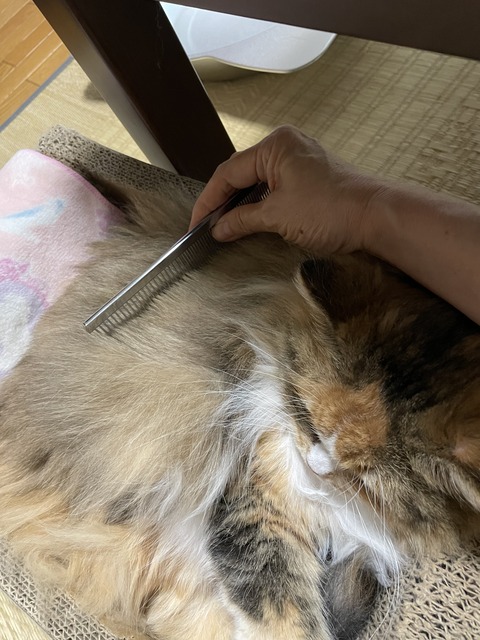 A850EE76-4FFD-4B08-BE55-1F22080E59F2