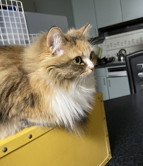 A3BEA498-EDFD-4876-BDBB-0FF666497D2E