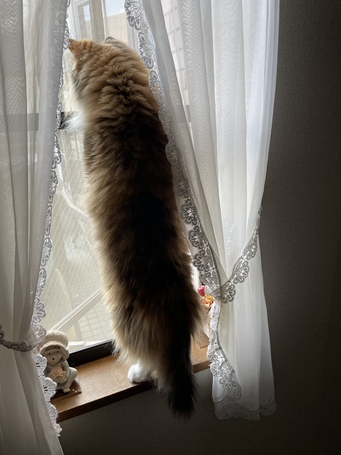 6894231A-9B13-47A3-8BCE-7F3736A0E496