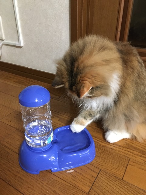 774EC8B7-81D3-4AFC-A093-C867BD80C27A