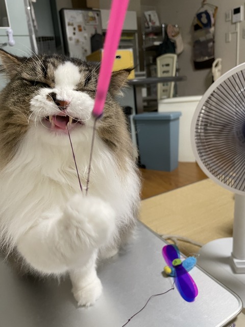 B07EF7DE-AF6C-4EE8-936A-560F6AC40349