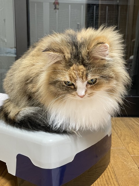 A4A7C85E-1EF0-4D6B-AC78-EB8153FB83FF