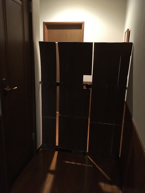 4F308BAA-E2D6-48B4-AB2A-FDA8EFB2E216