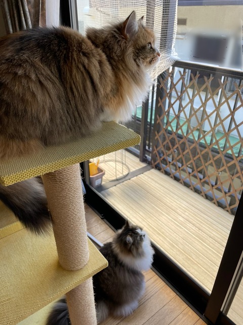 C7EC6AB4-52C2-40F9-9B40-33A026AF8AFF