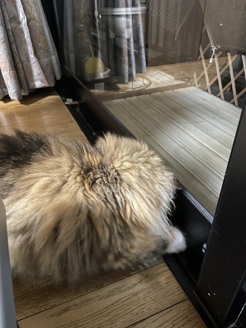 3EE8D318-6D7C-4425-A97F-559F0999DE38