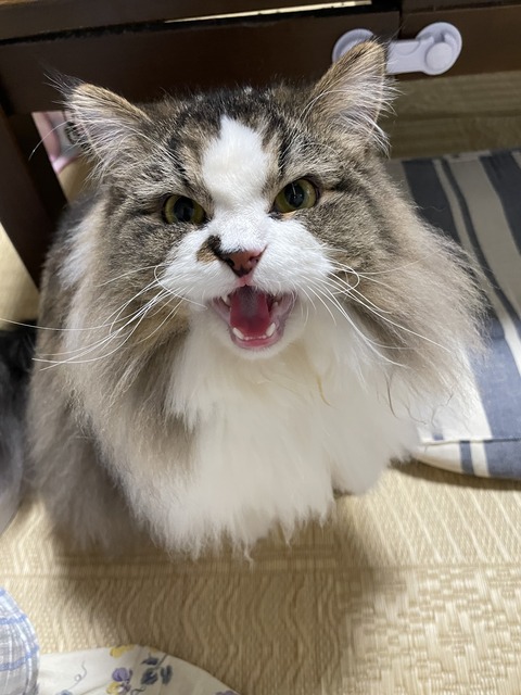 A7E3D0C1-4558-479E-B361-68F2B0BB9C1B