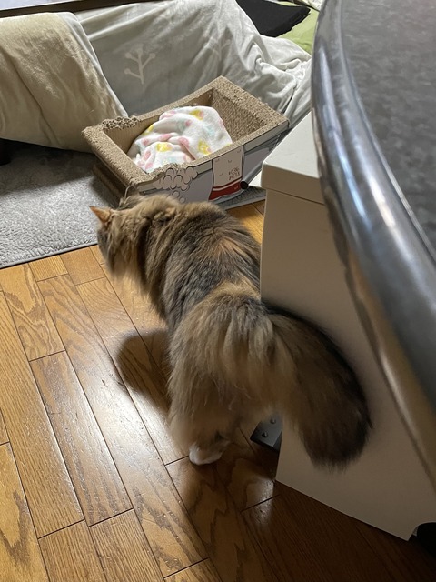 718D5593-7A7E-4C8C-A31E-B111785A510E