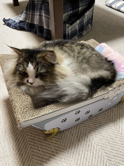 29EB446D-87D3-457D-8A0B-3CF6BA1C3F3D