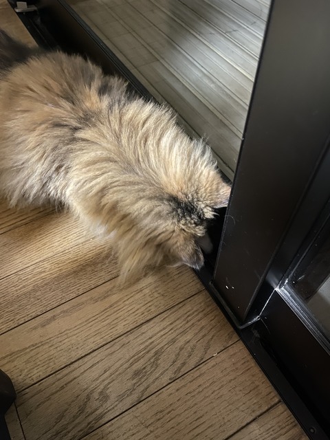 5BF4153A-332B-409F-9991-B16C5D44DDF0