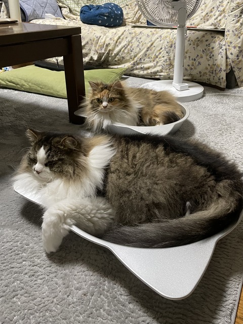 C4422C91-5F89-42C4-97FD-33B3BBF17C93