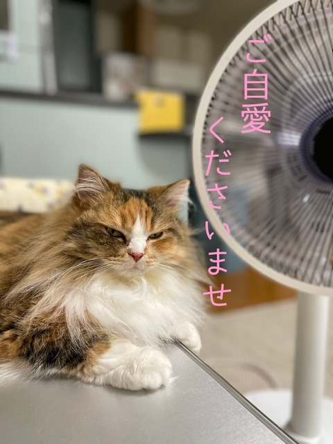 94346815-B779-43B3-A17D-5A9C06DA83B6