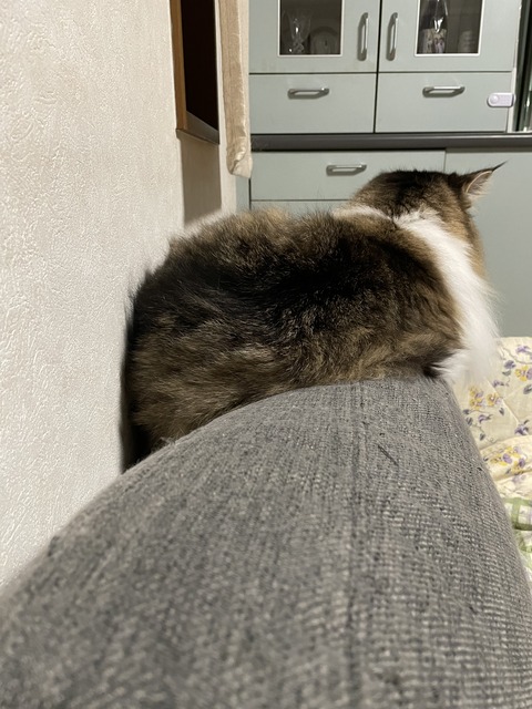 F9FCBFE9-B503-4170-AA11-FE2E96A91DC0