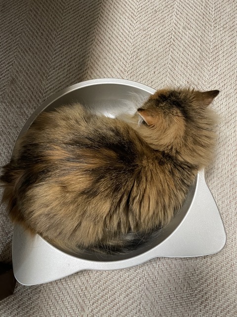 57880DC0-5AD7-4E75-B0B4-47C6BAAD39EA