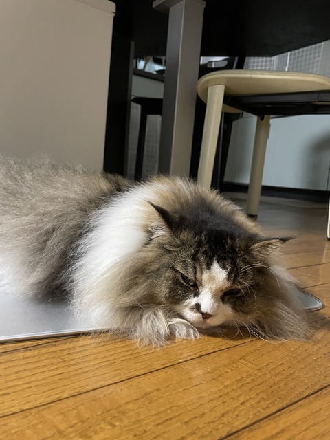 4EC05800-05E1-415F-B73B-23DB78CFE7B2