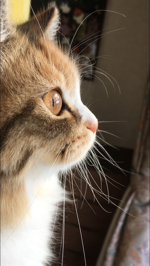 7B665DF5-D7A8-4320-BF62-E19CF80D270C