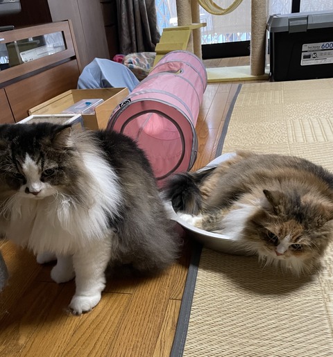 62D50BCB-F62B-4373-8674-CDA46404F248