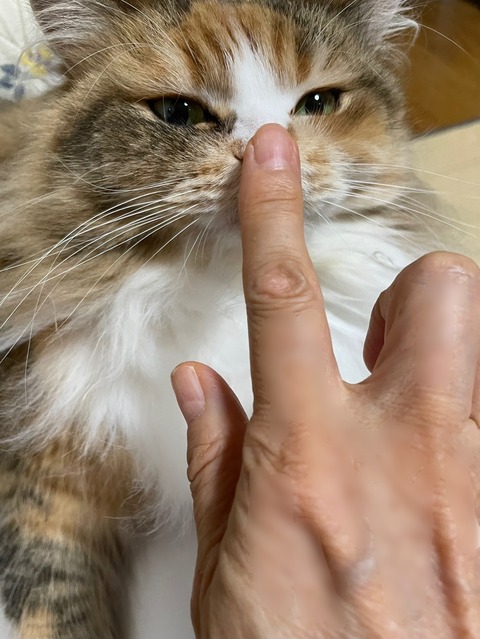 940A695A-3E0D-47BF-8460-EF93150B2286