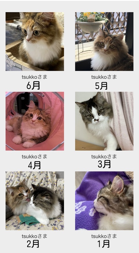 E25CC0E4-1D84-452E-A882-E71EE469FA93