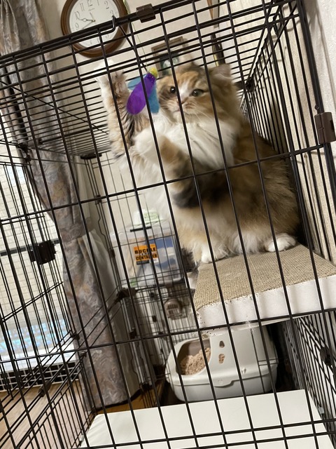 B23FCB9C-45E4-4F4E-AE81-5AAE71E8983A