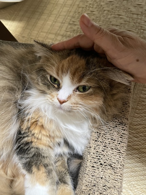 6BA06E52-511D-40AD-AD84-CA834C265C9C