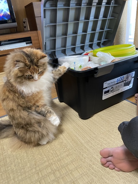 A8B44EC7-9146-47DA-AC35-6849665875C5