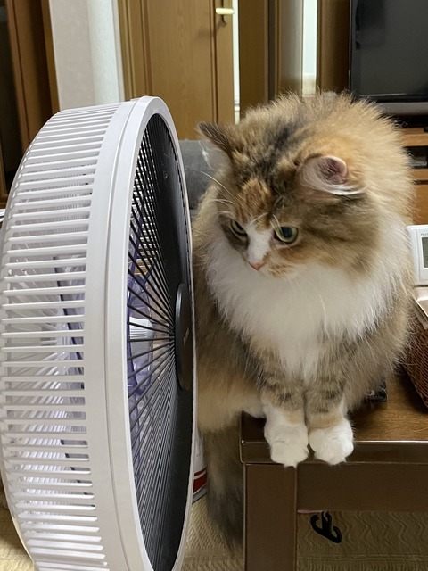 EFA596E6-B78E-46AA-ABF0-2A328B4C2C4B