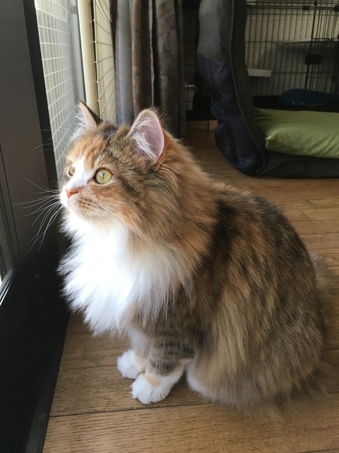 210499BC-523D-4CBC-8937-9E7BB9F59EC6