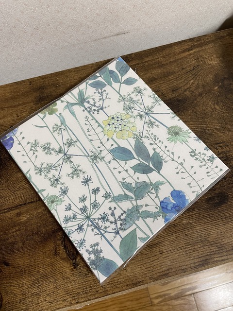 0E0AC0BD-3E93-49DC-941A-6DB57664F134